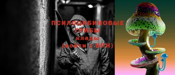 стаф Арсеньев