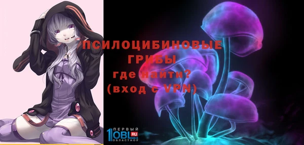 метадон Аркадак