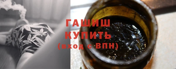 стаф Арсеньев